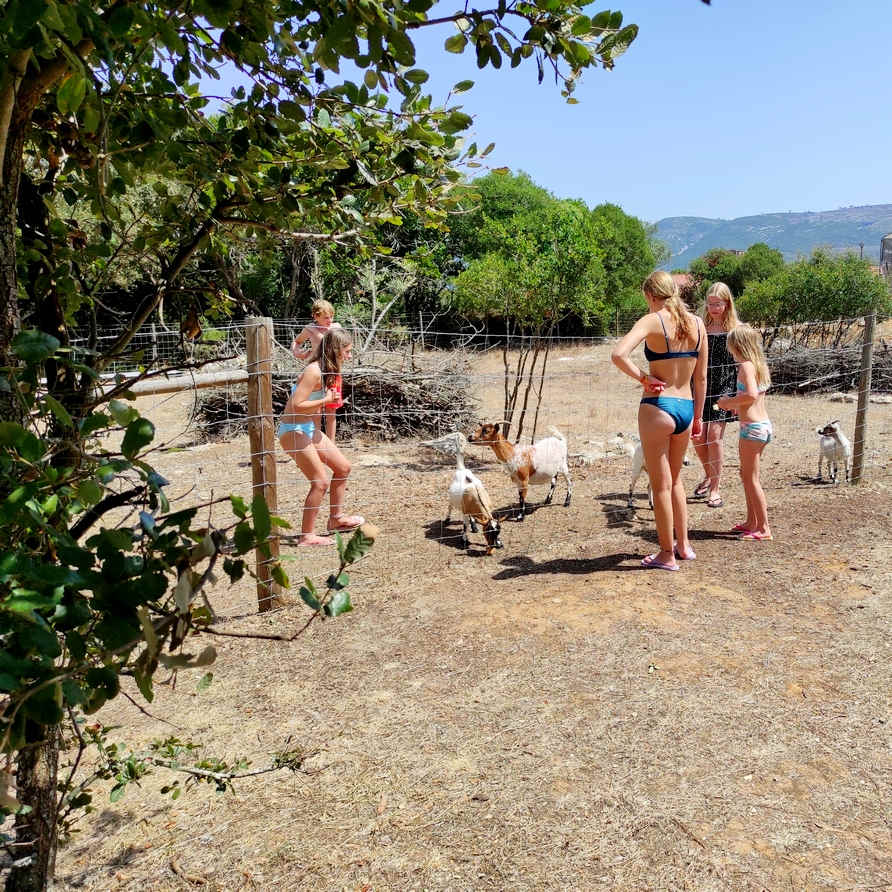 kinderen geven dieren eten op de vakantie_Quinta das Cantigas